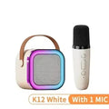 Portable Bluetooth Karaoke Speaker with Microphone